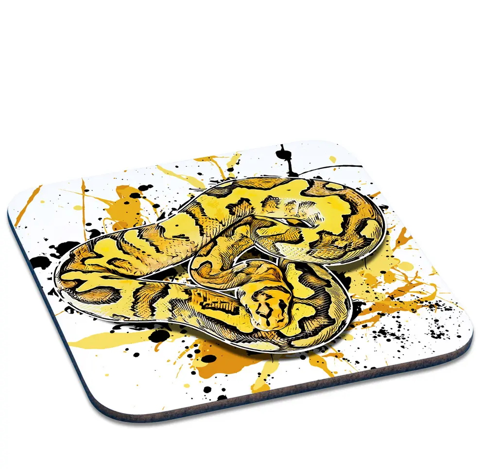 Untersetzer Königspython / Python regius Super Disco Clown