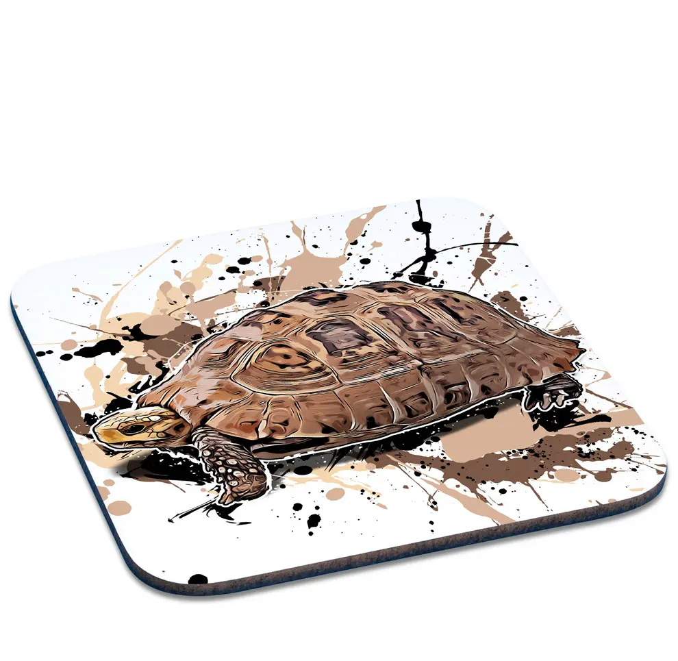 Untersetzer Gelbkopfschildkröte / Indotestudo elongata