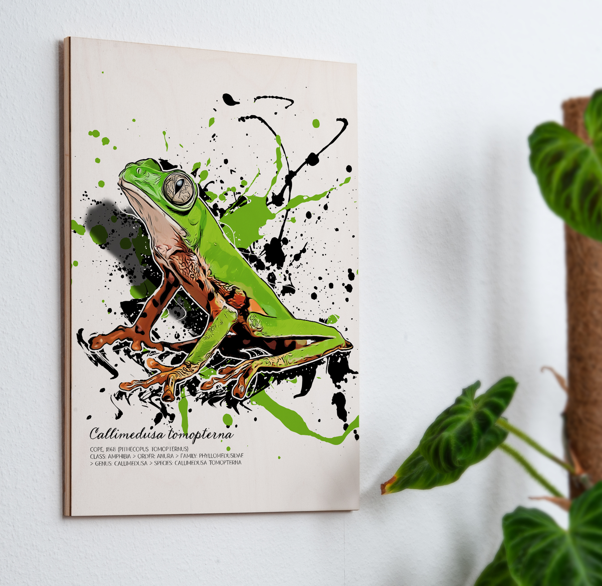 limitiertes Wandbild Callimedusa tomopterna (auf Holz gedruckt)