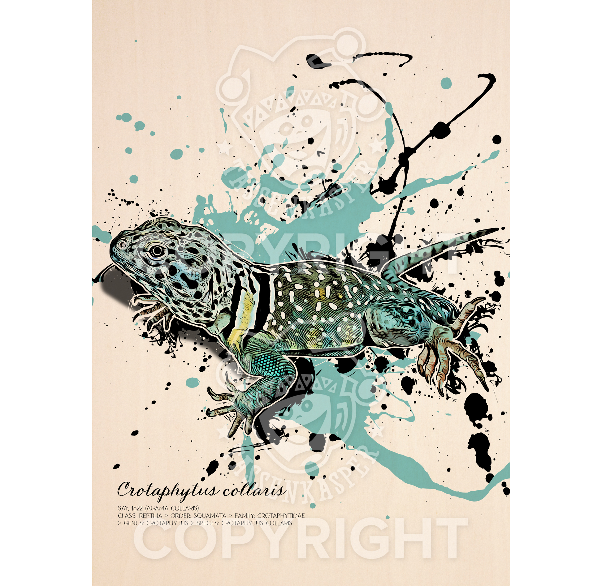 limitiertes Wandbild Crotaphytus collaris (auf Holz gedruckt)