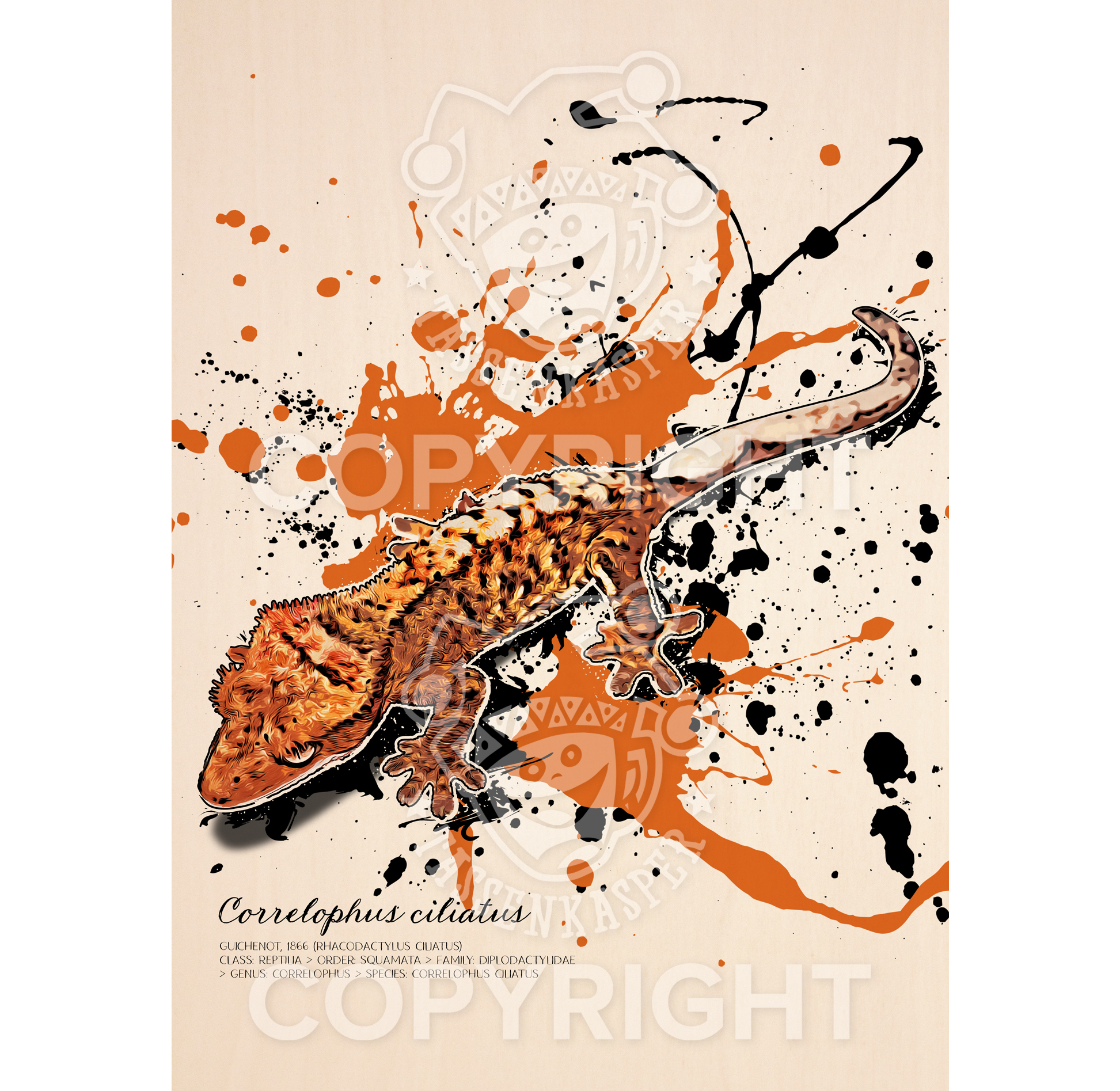 limitiertes Wandbild Correlophus ciliatus (auf Holz gedruckt)