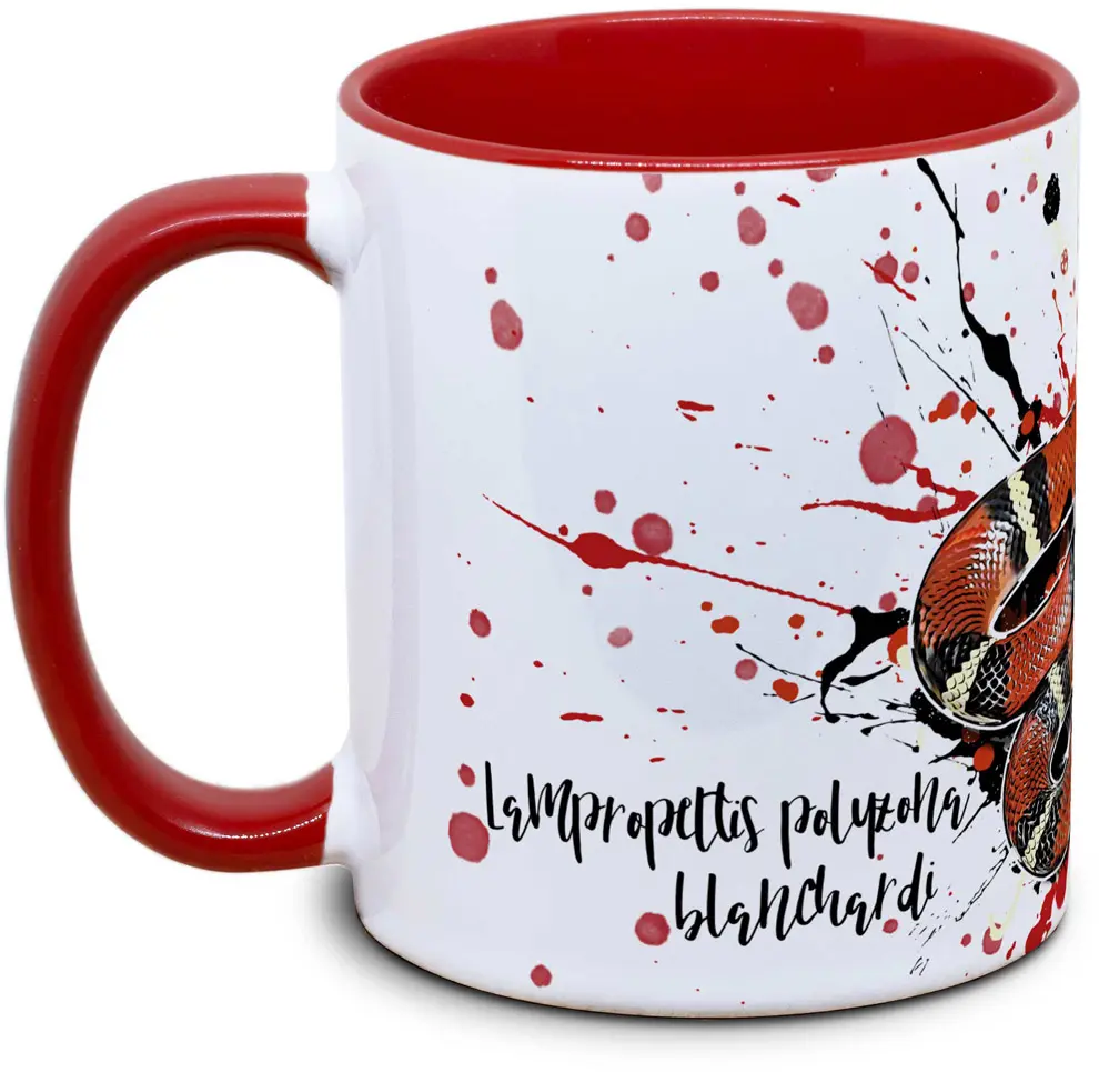 Tasse mit Lampropeltis polyzona blanchardi Koenigsnatter Seitenansicht rechts des Henkels