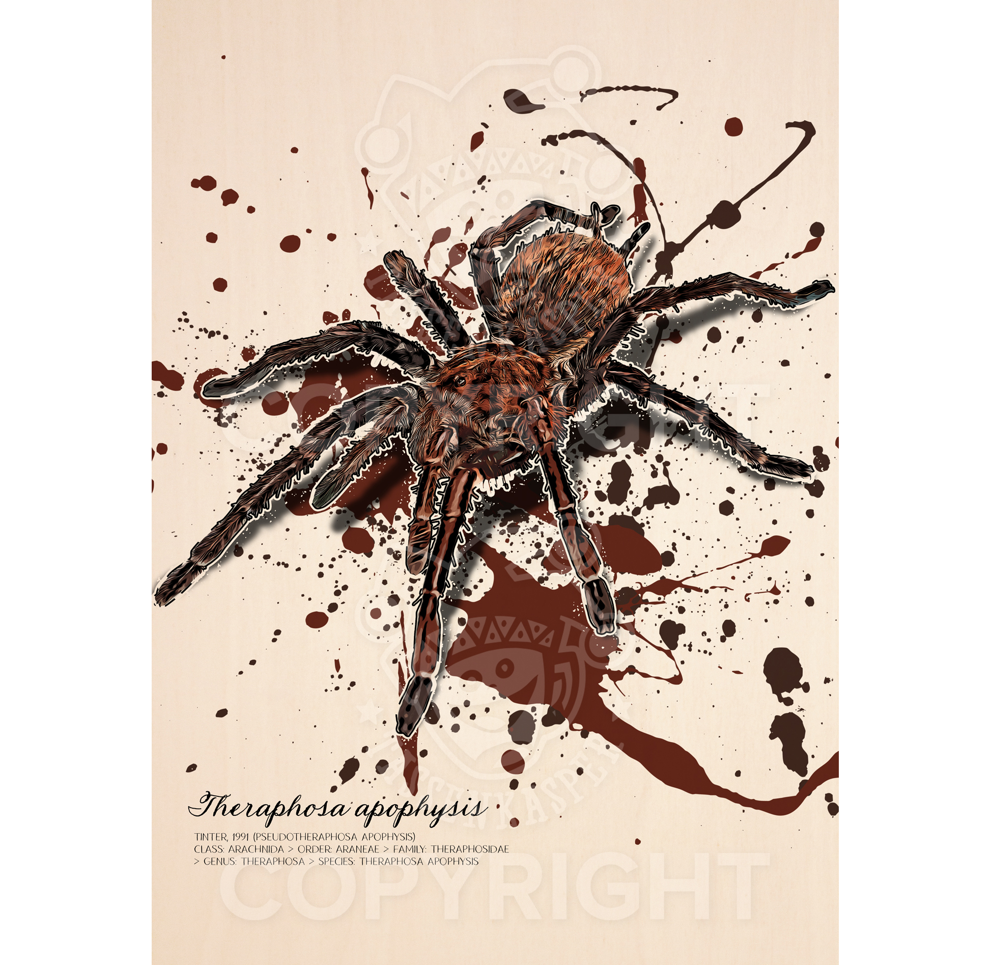 limitiertes Wandbild Theraphosa apophysis (auf Holz gedruckt)