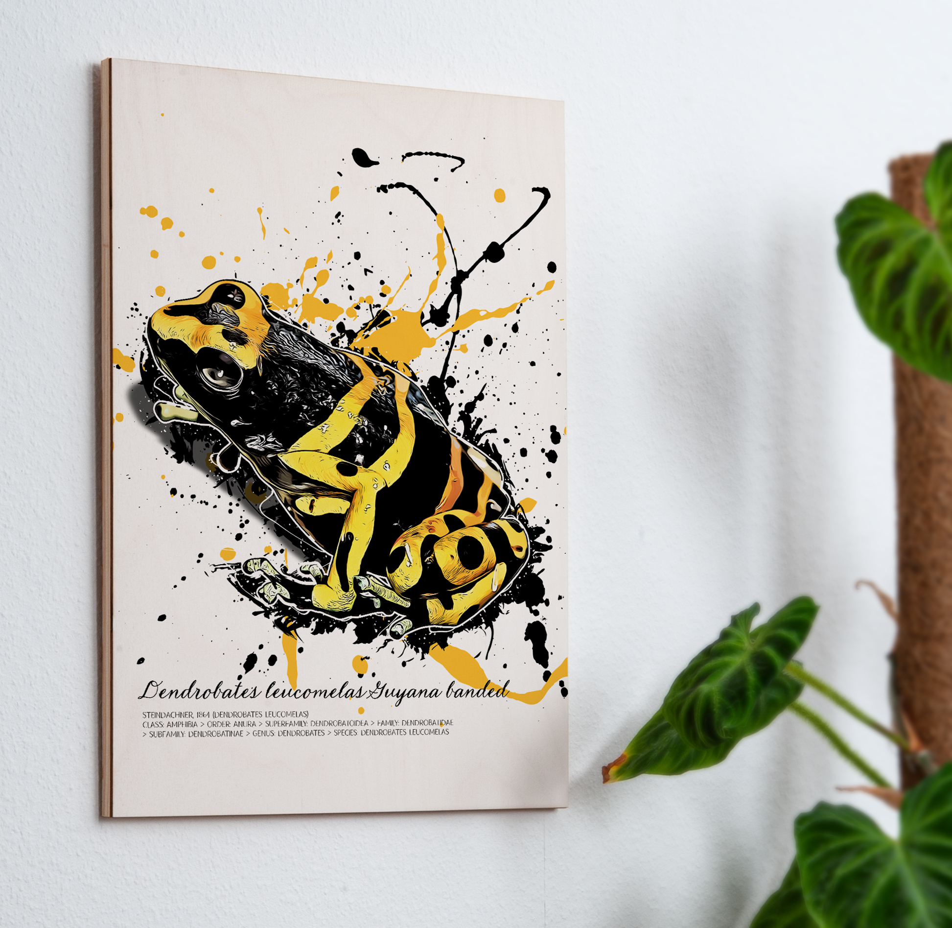 limitiertes Wandbild Dendrobates leucomelas Guyana banded (auf Holz gedruckt)