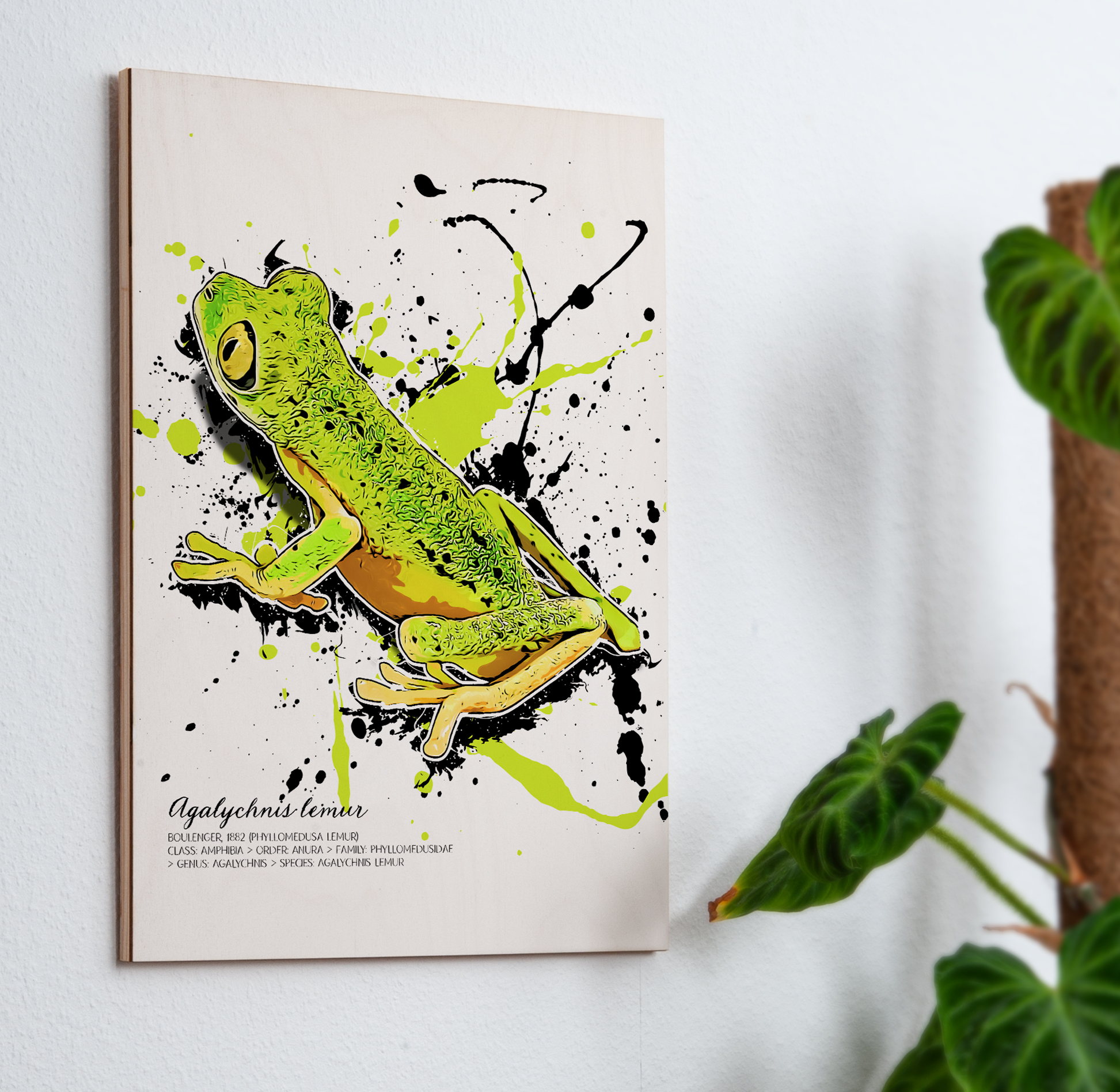 limitiertes Wandbild Agalychnis lemur (auf Holz gedruckt)