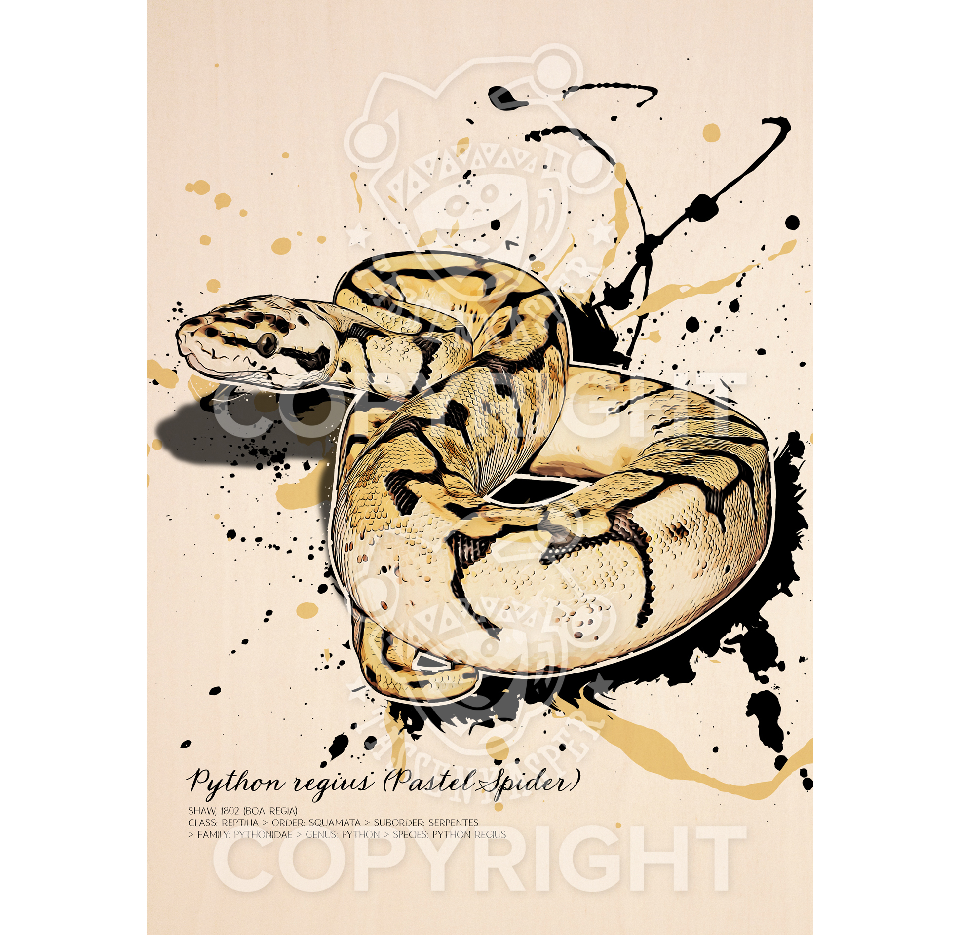 limitiertes Wandbild Python regius Pastel Spider (auf Holz gedruckt)