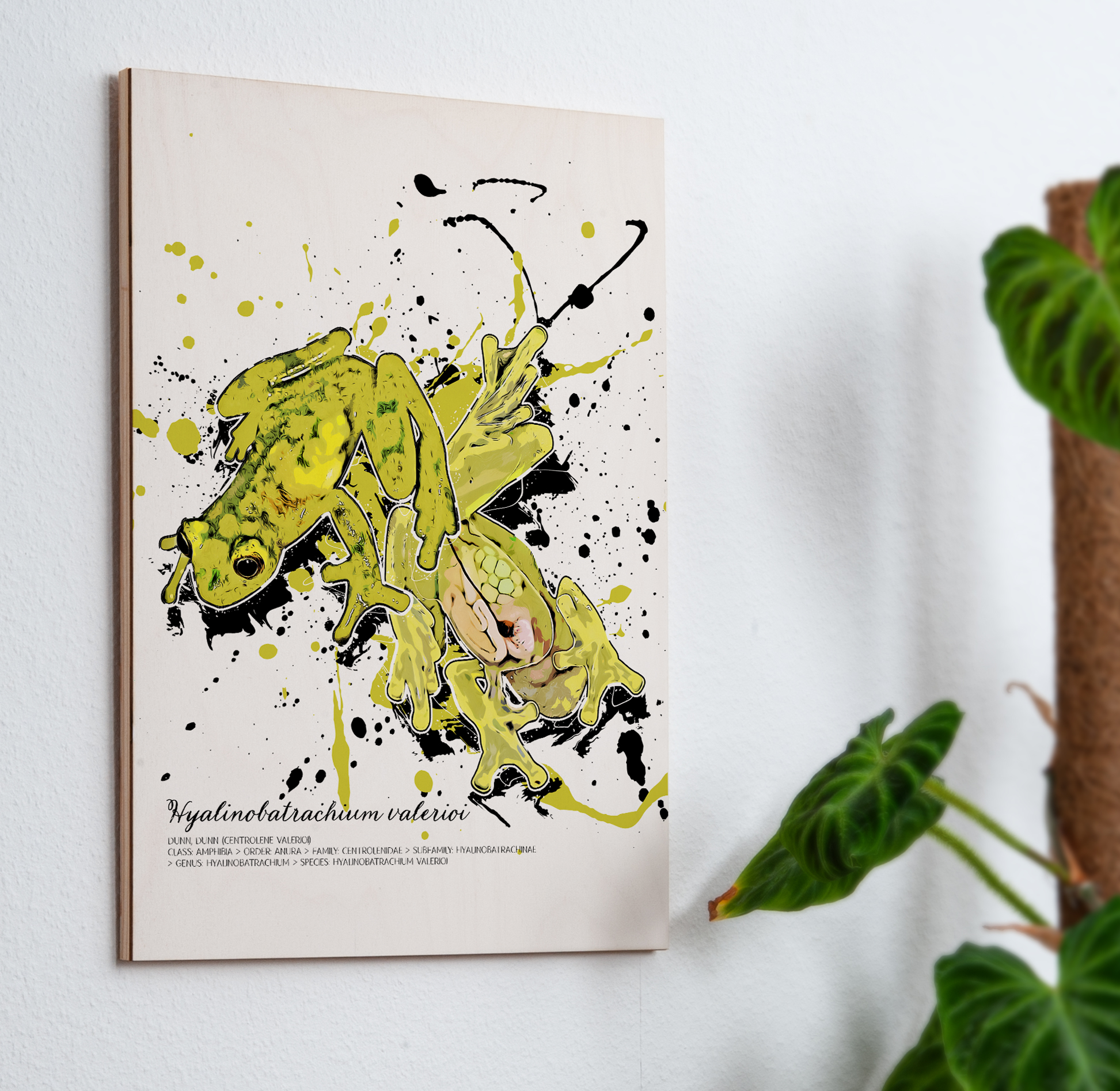 limitiertes Wandbild Hyalinobatrachium valerioi (auf Holz gedruckt)