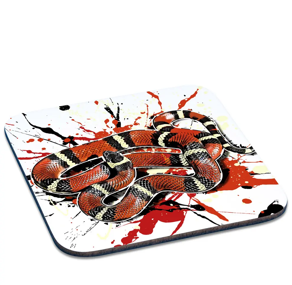 Untersetzer Königsnatter / Lampropeltis polyzona blanchardi