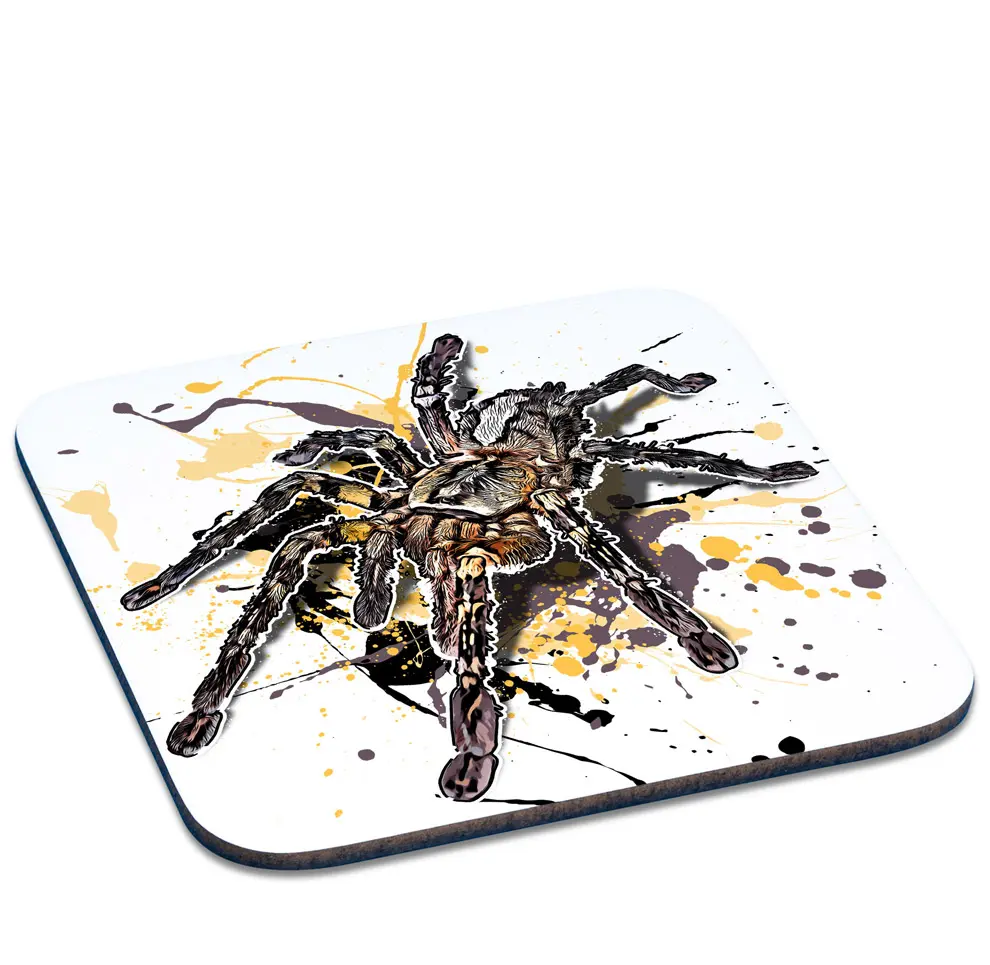 Untersetzer Poecilotheria ornata