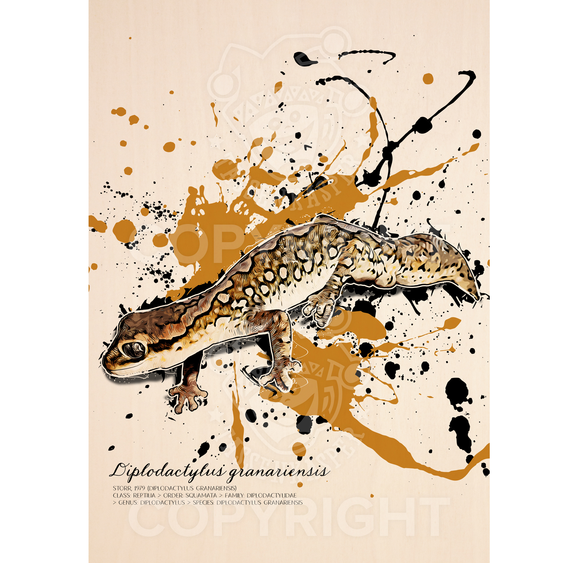 limitiertes Wandbild westlicher Steingecko / Diplodactylus granariensis