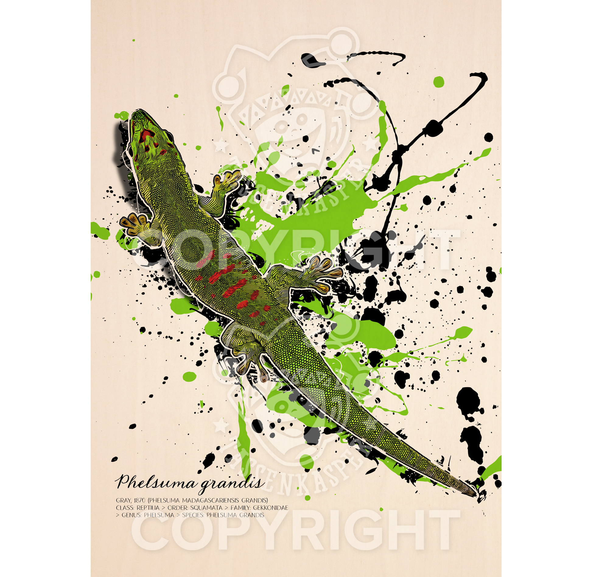 limitiertes Wandbild Phelsuma grandis (auf Holz gedruckt)