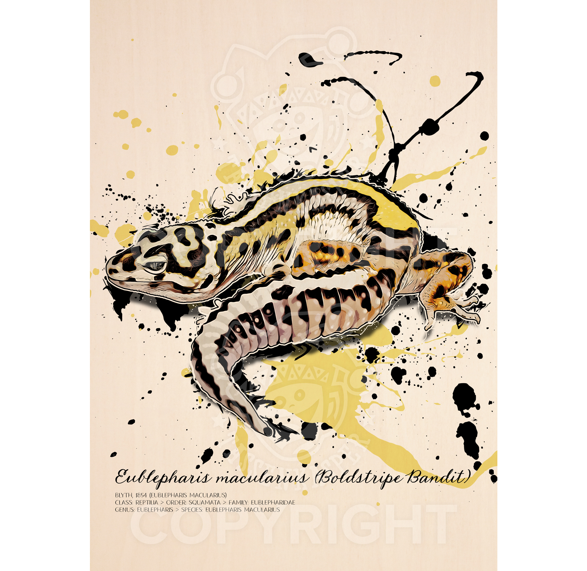 limitiertes Wandbild Eublepharis macularius Boldstripe Bandit (auf Holz gedruckt)