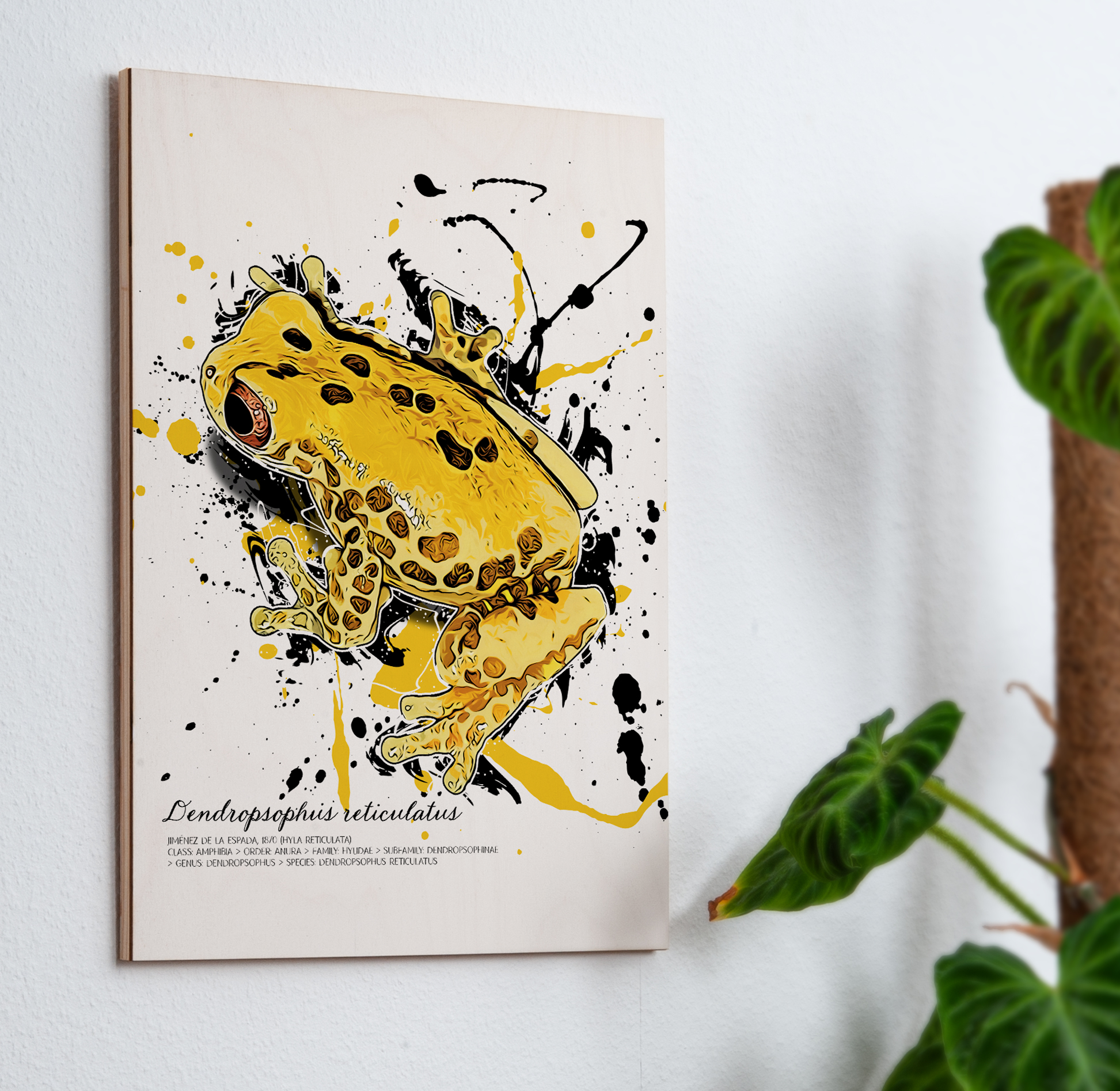 limitiertes Wandbild Dendropsophus reticulatus I (auf Holz gedruckt)