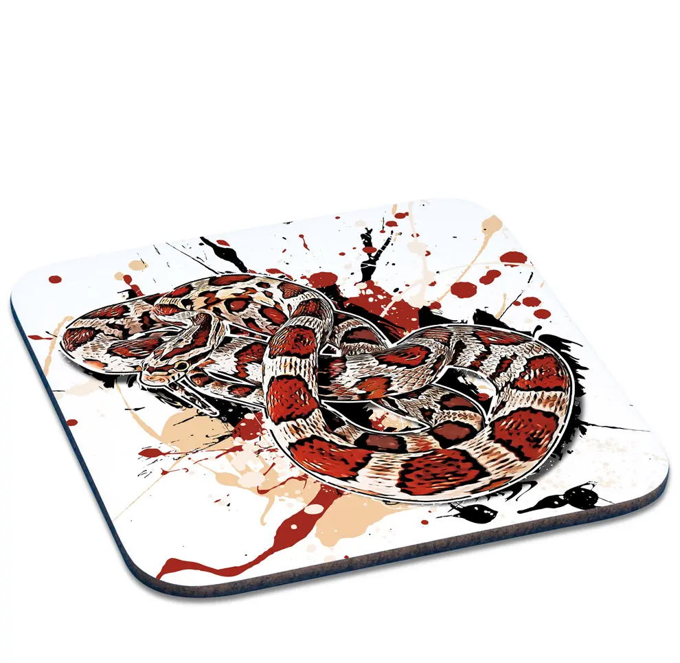 Untersetzer Kornnatter / Pantherophis guttatus Miami