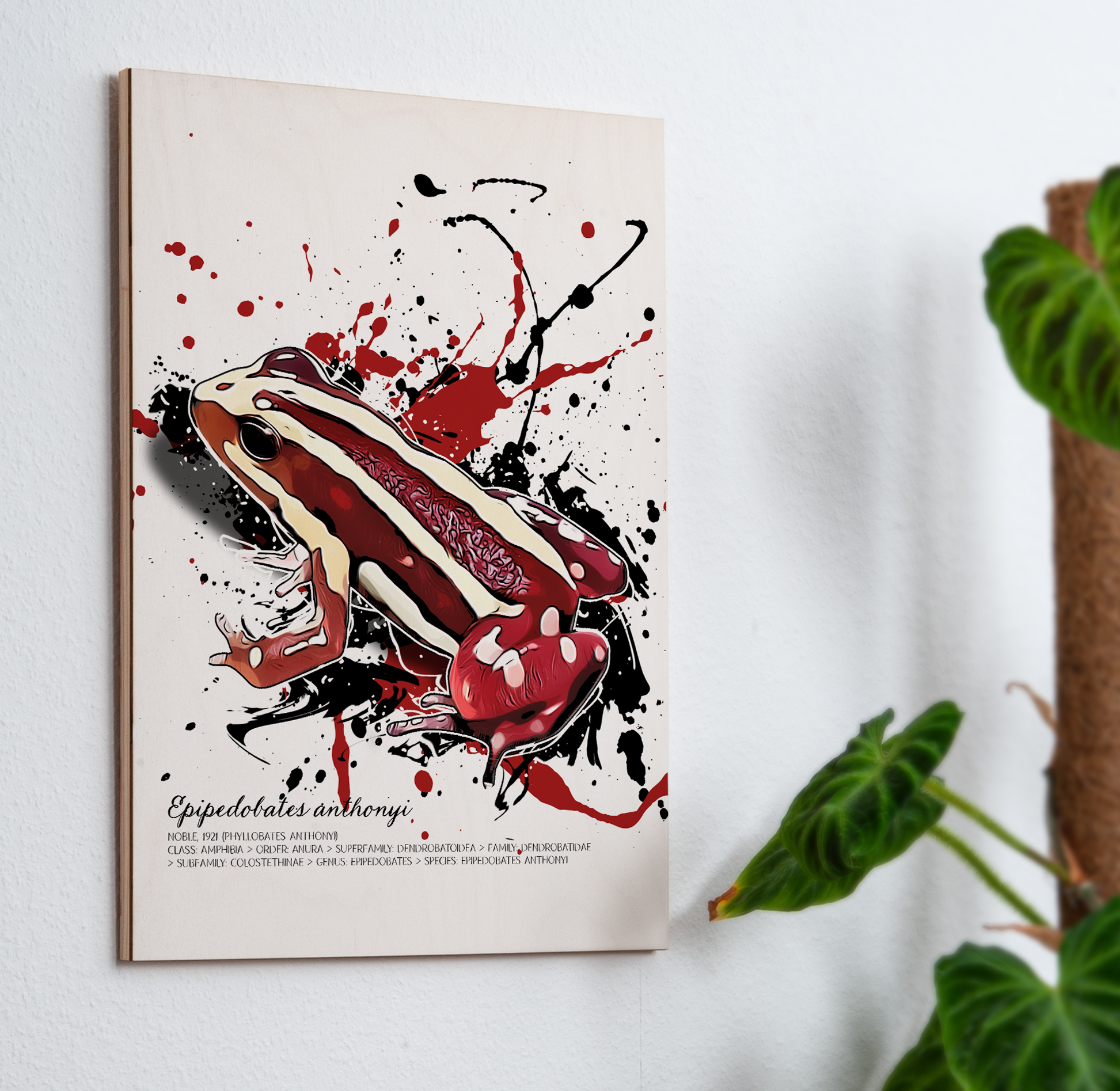 limitiertes Wandbild Epipedobates anthonyi (auf Holz gedruckt)