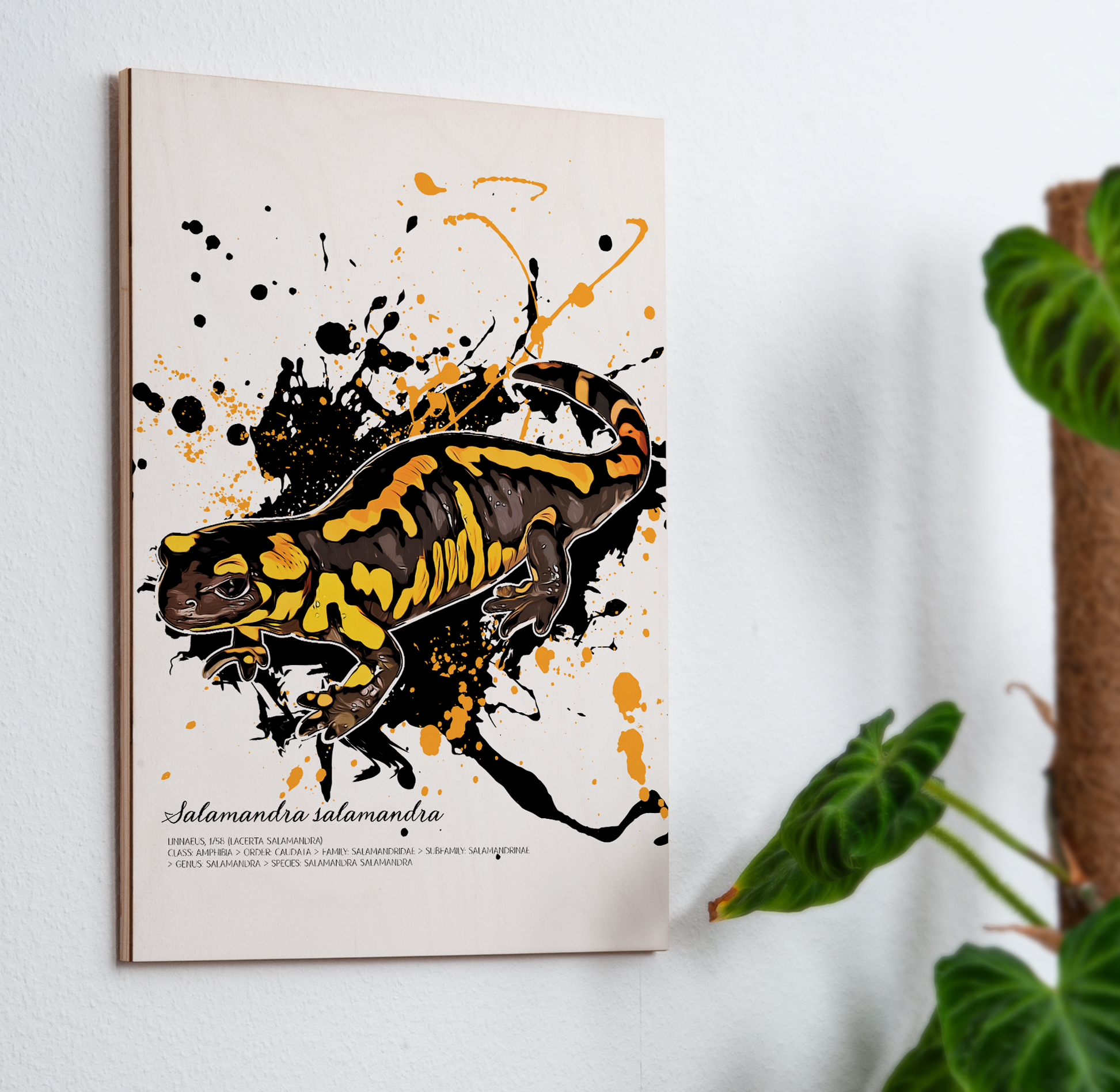 limitiertes Wandbild Feuersalamander - Salamandra Salamandra (auf Holz gedruckt)