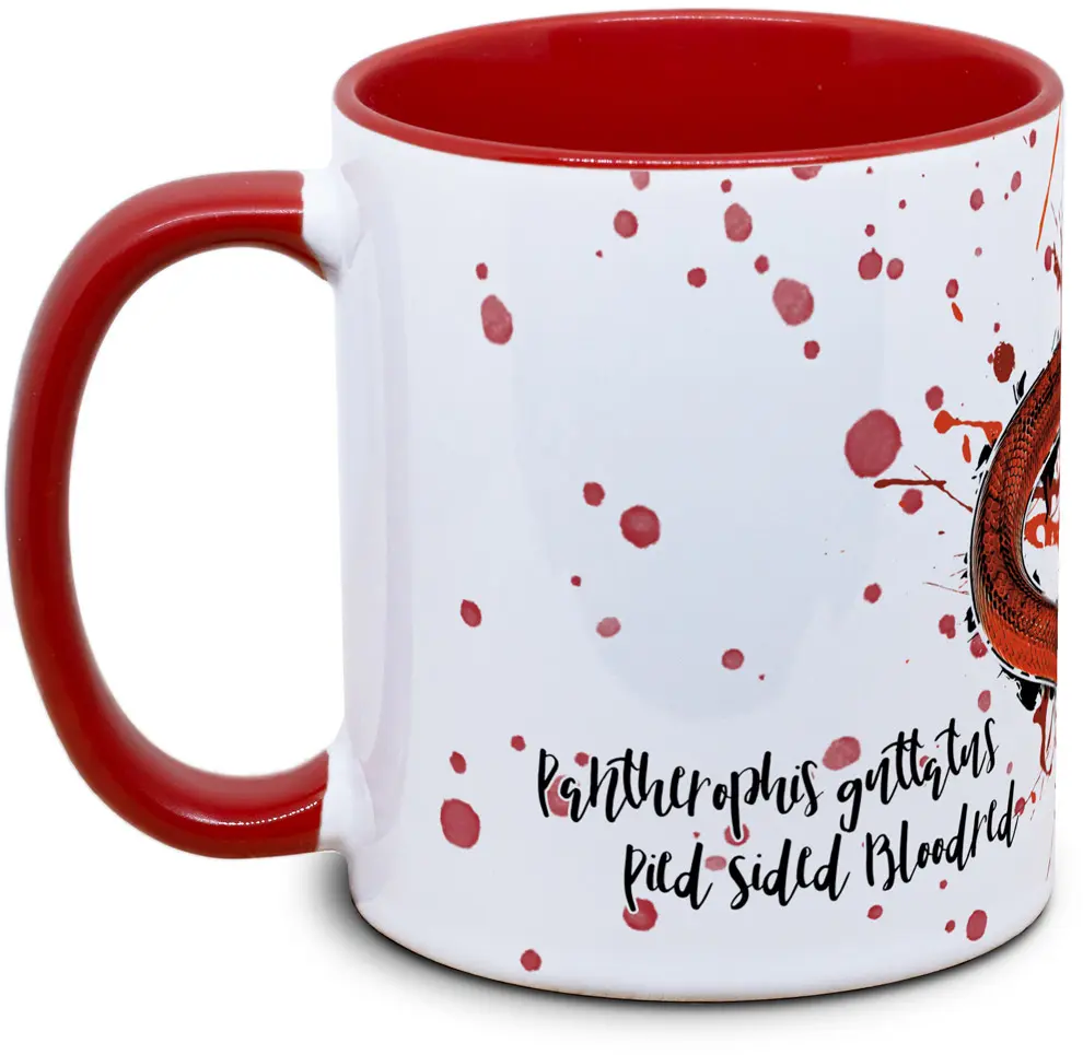 Tasse mit Pantherophis guttatus pied sided Bloodred Kornnatter Seitenansicht rechts des Henkels